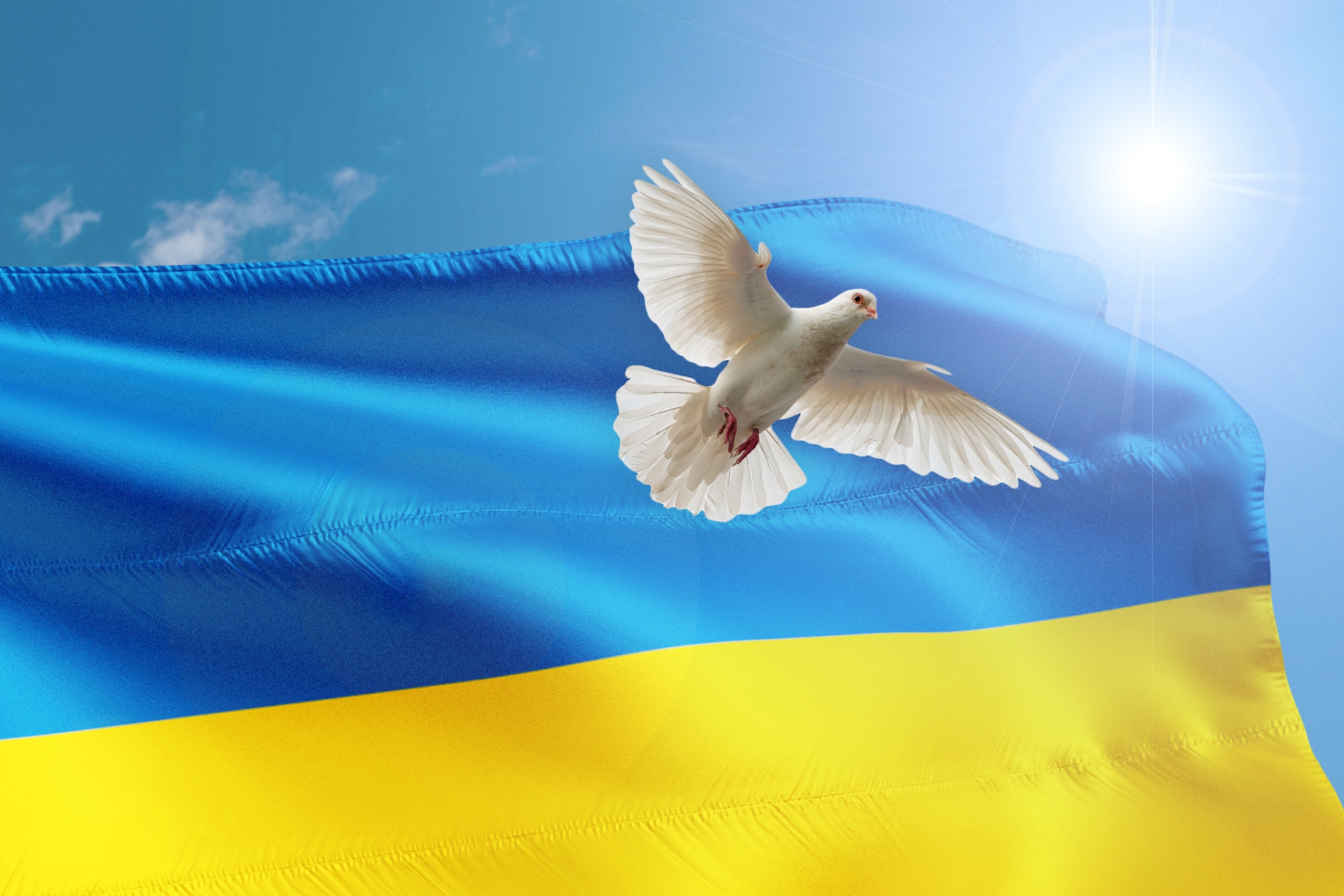 Gaggenau zeigt Flagge für die Ukraine - Stadt Gaggenau